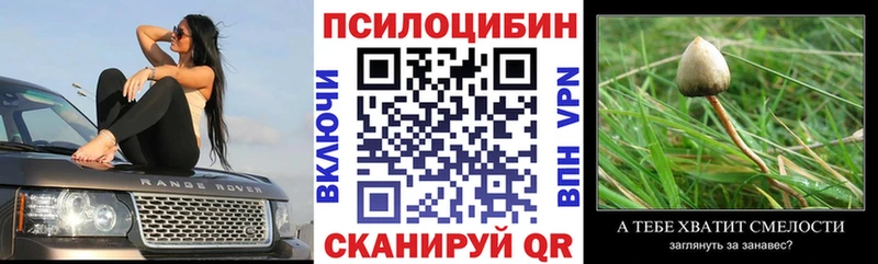 Псилоцибиновые грибы GOLDEN TEACHER  хочу   Моршанск 