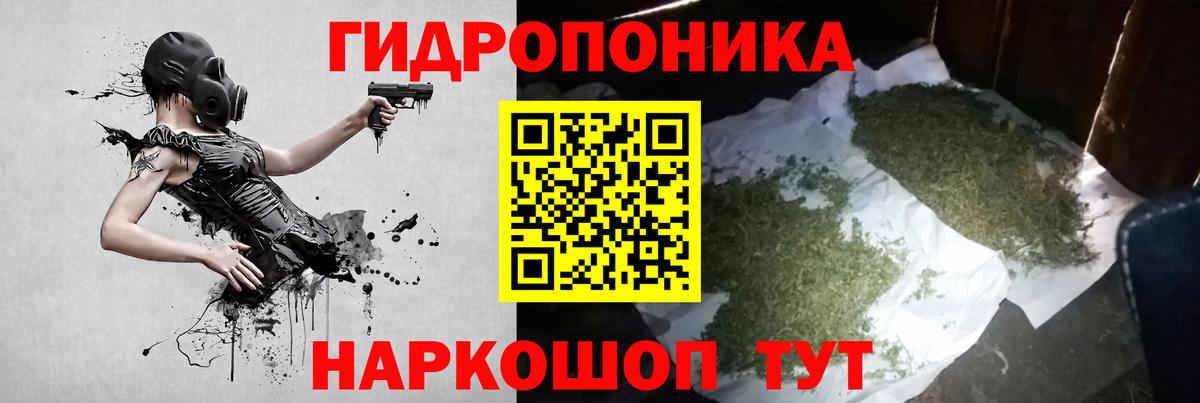 Марихуана Bruce Banner  Канабис планчик  Вход с VPN  Бошки Шишки семена  Моршанск 